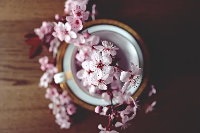 Cómo crear un jardín de flores que florezca todo el año