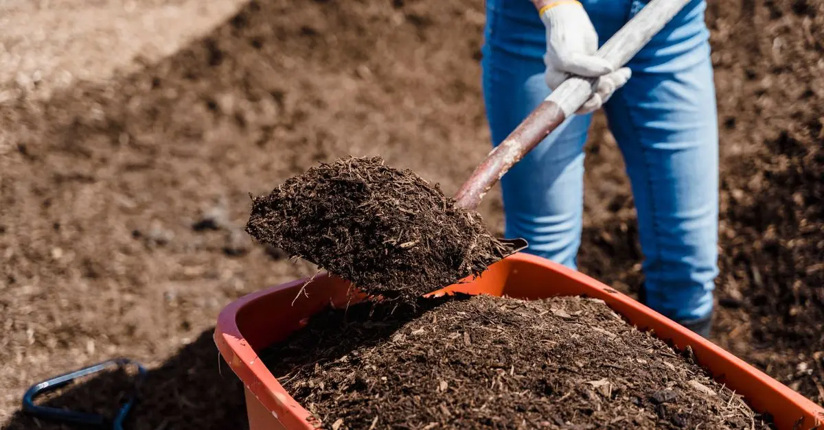 Los beneficios del compostaje en tu jardín