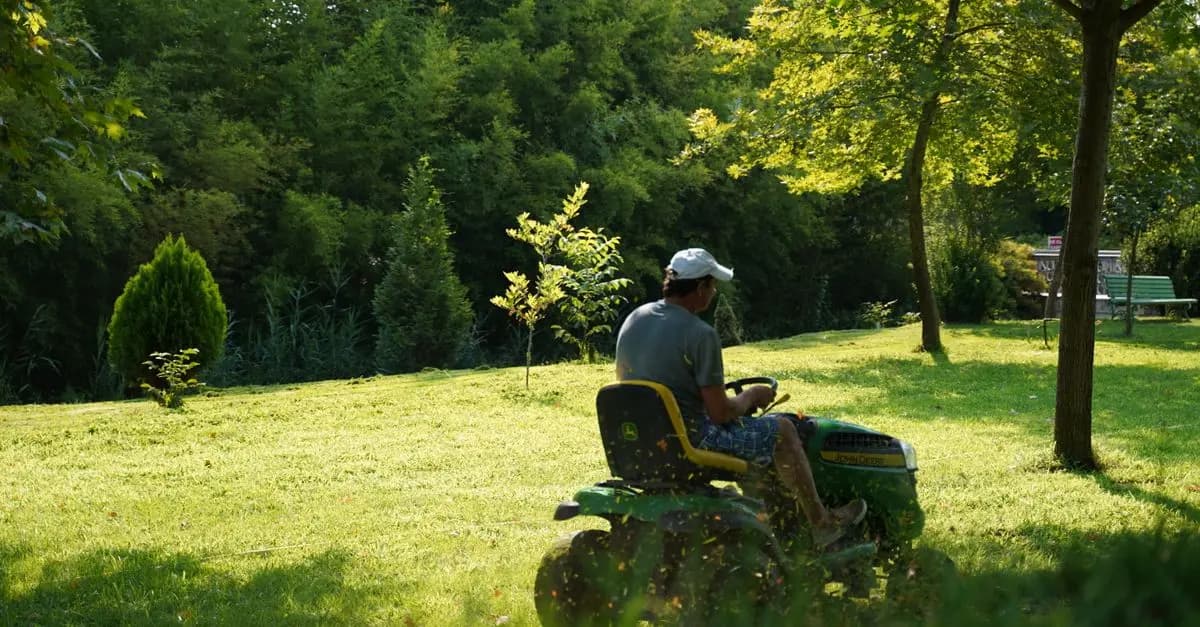 Tendencias en jardinería sostenible para 2026