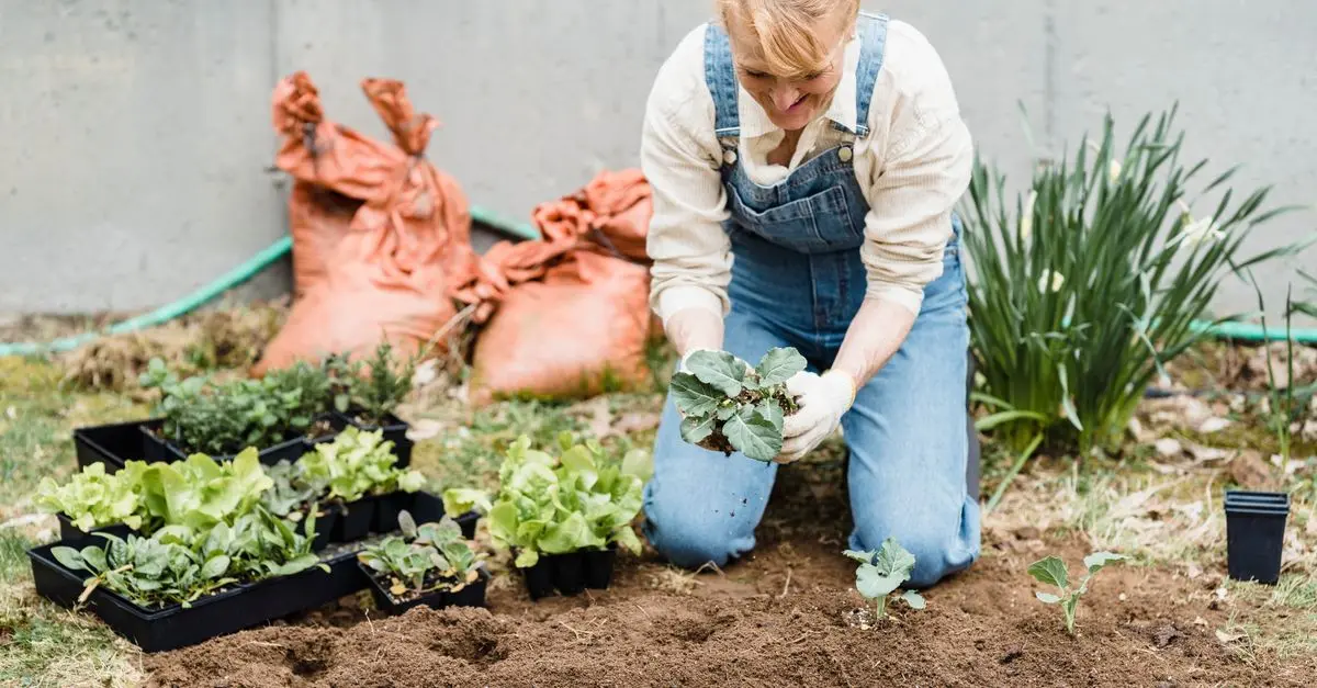 Tendencias en Jardinería Sostenible para 2026