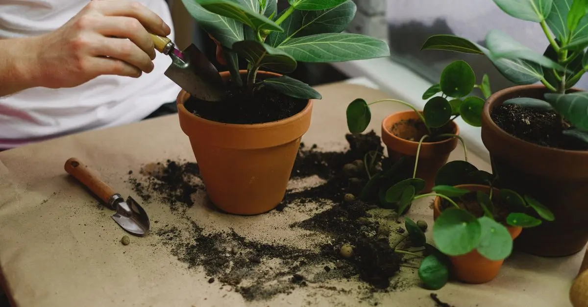 Cómo seleccionar las herramientas de jardinería adecuadas