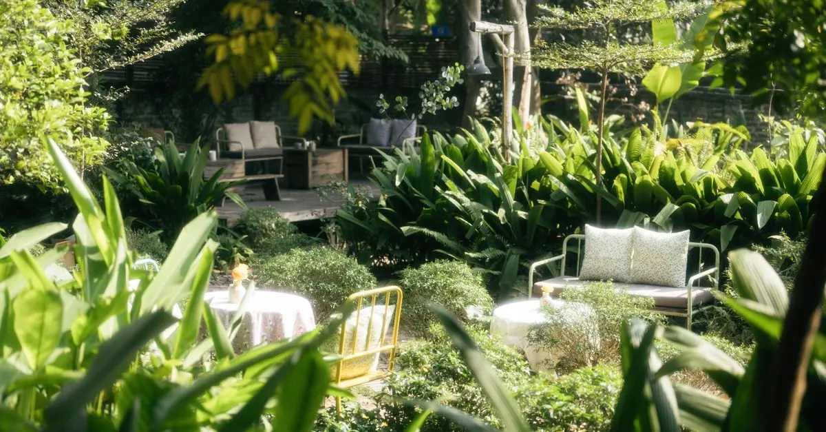 Beneficios del Uso de Plantas Nativas en Jardinería