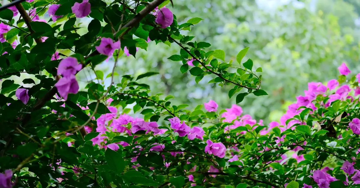Cómo combatir plagas en el jardín de forma natural