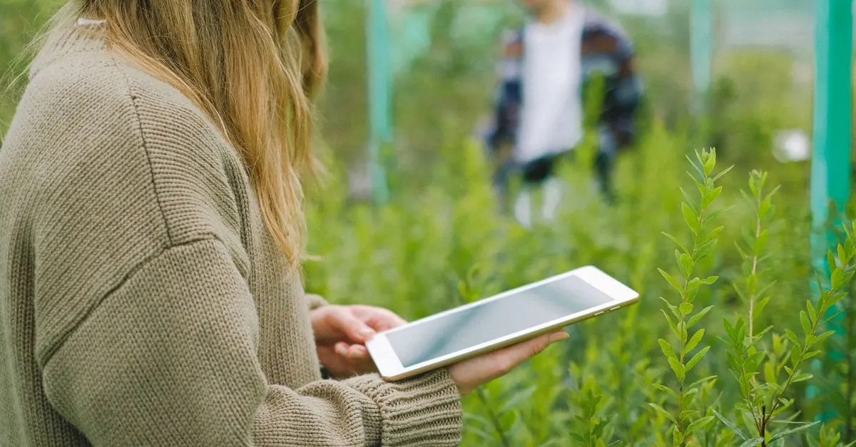 Tendencias en diseño de jardines para 2026