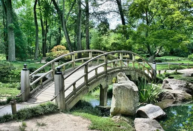 Cómo elegir las plantas perfectas para tu jardín