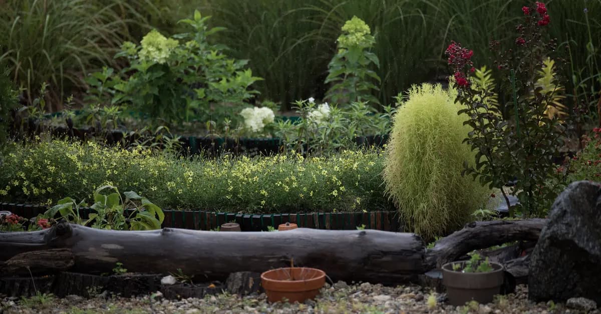 Cómo seleccionar las plantas adecuadas para tu jardín
