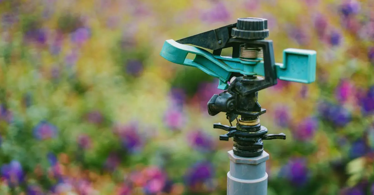 Riego Automático Vs. Manual: ¿Cuál es el Mejor para tu Jardín?