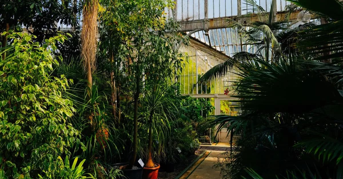 Novedades en jardinería sostenibles para 2026