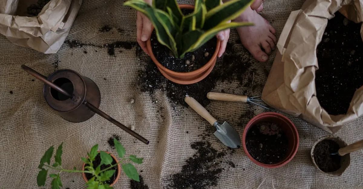 Cómo hacer un jardín de hierbas para principiantes