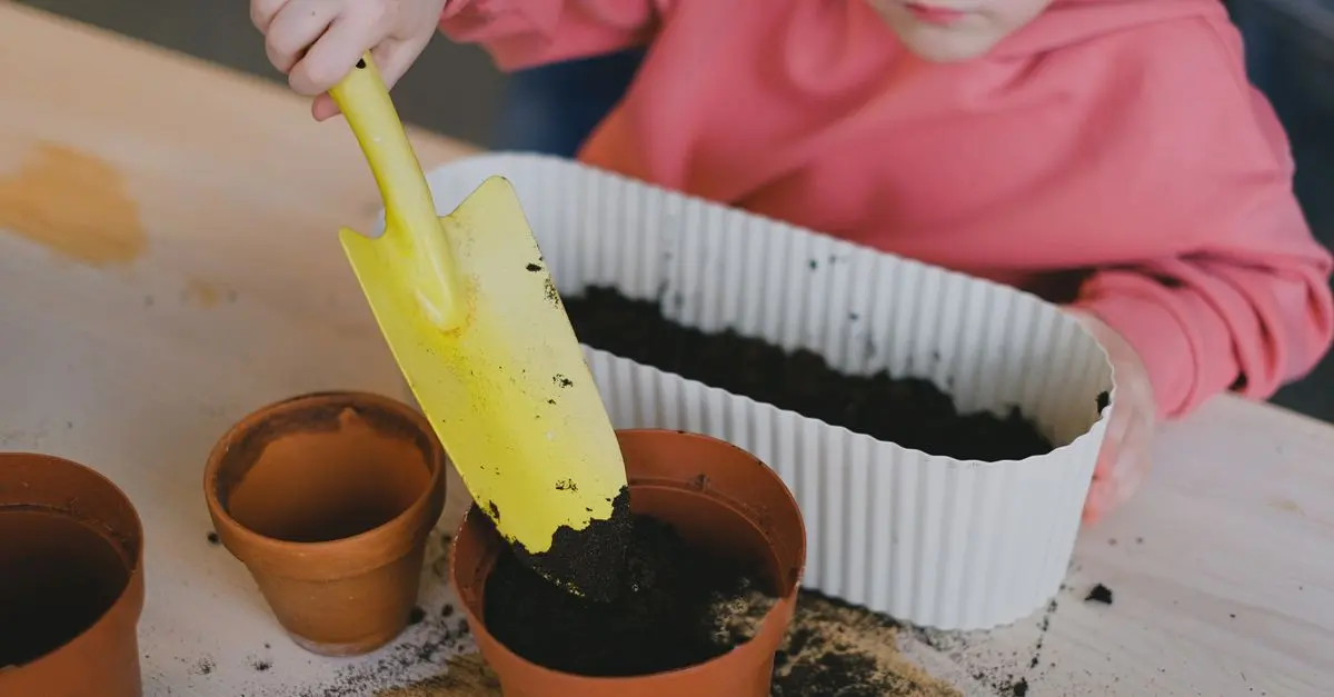 10 plantas fáciles de cultivar para principiantes