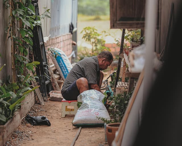 Cómo preparar el suelo para un jardín próspero