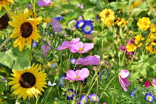 Cómo mantener tu jardín saludable durante todo el año