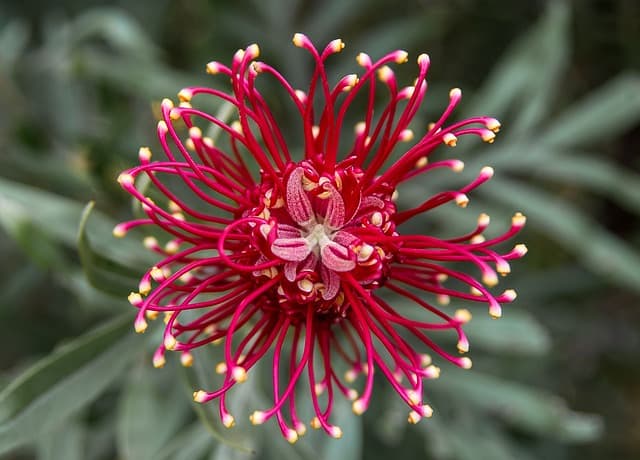 Cómo crear un jardín sostenible: consejos prácticos